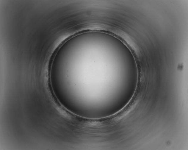 X0000103310837200808291427