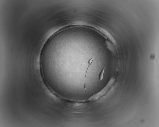 X0000103310839200808291427