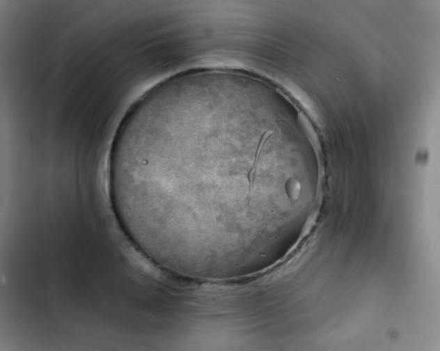 X0000103310840200808291427