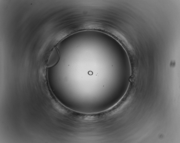 X0000103310841200808291427