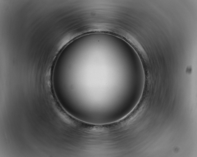 X0000103310842200808291427