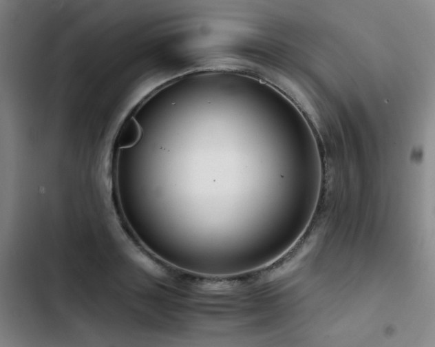 X0000103310843200808291427