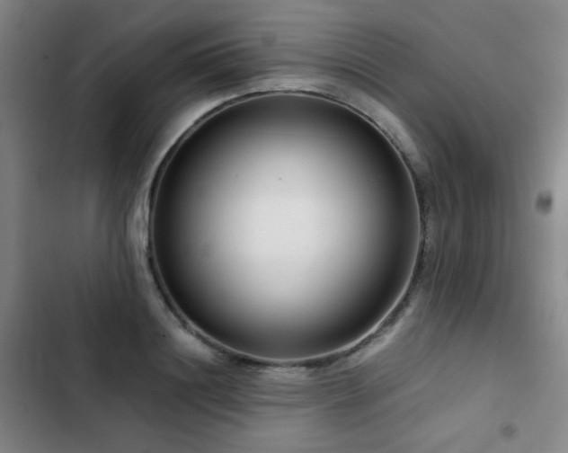 X0000103310844200808291427