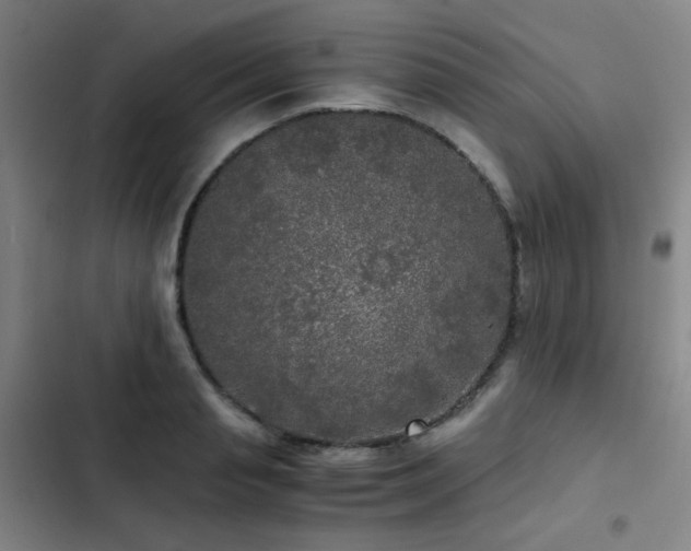 X0000103310845200808291427