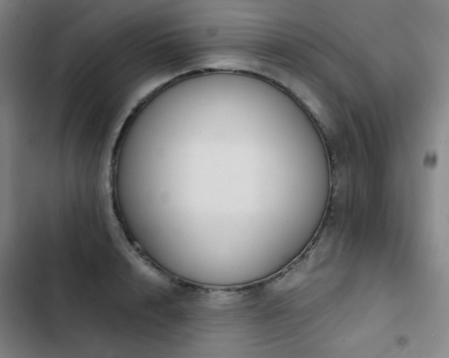 X0000103310848200808291427