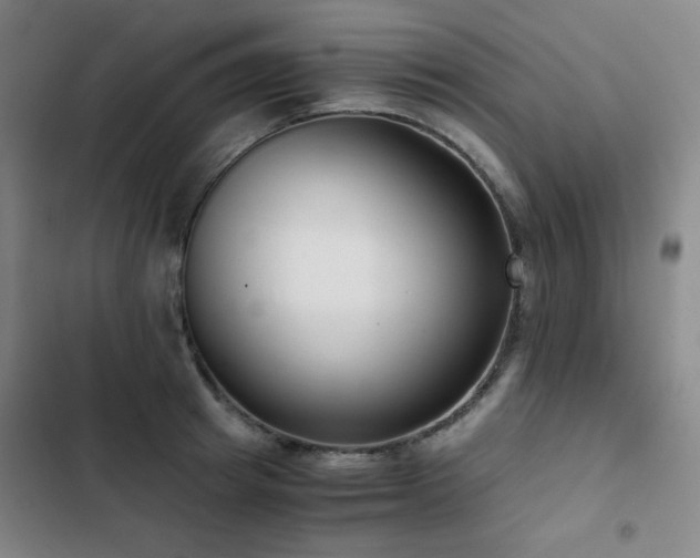 X0000103310849200808291427