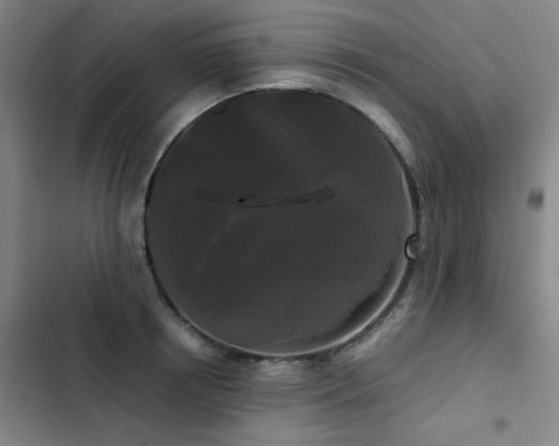 X0000103310850200808291427