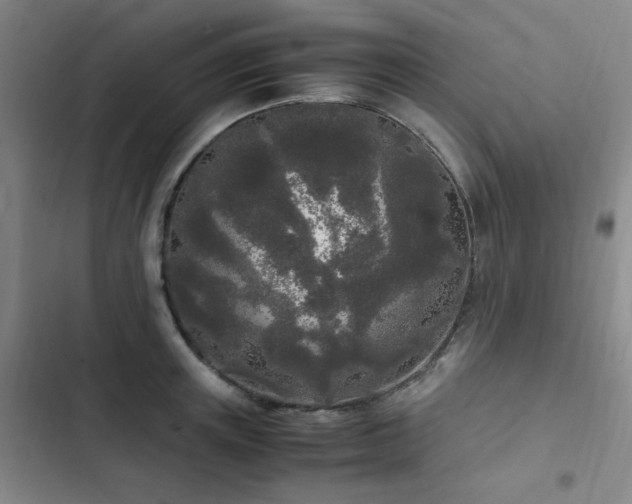 X0000103310851200808291427