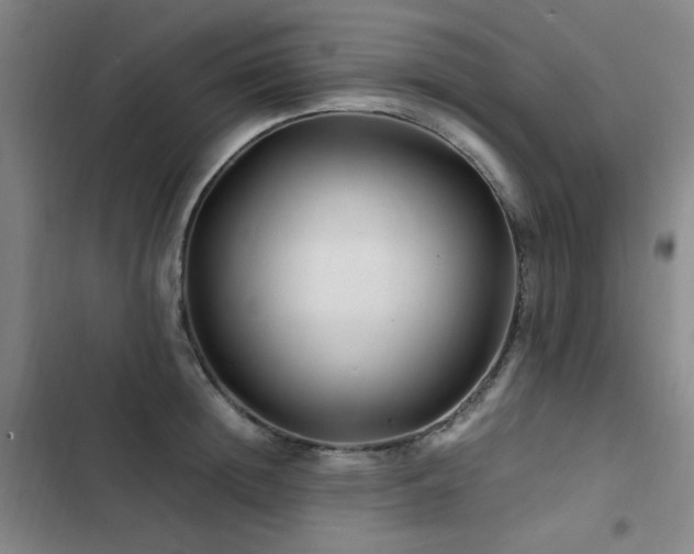 X0000103310852200808291427