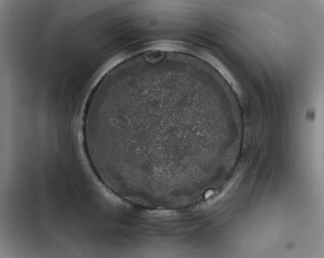 X0000103310853200808291427