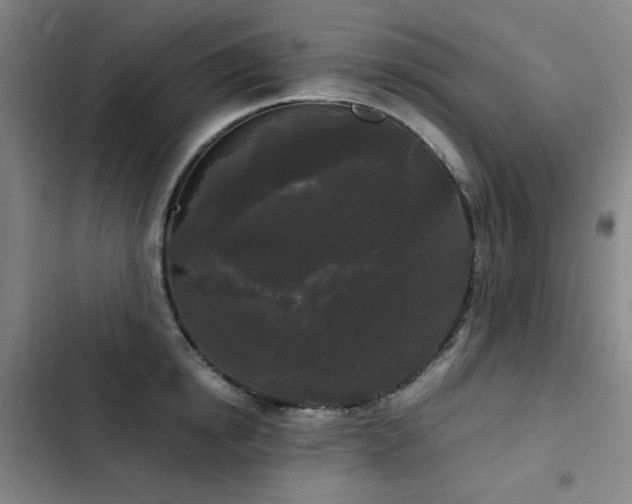 X0000103310854200808291427