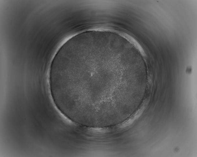 X0000103310855200808291427