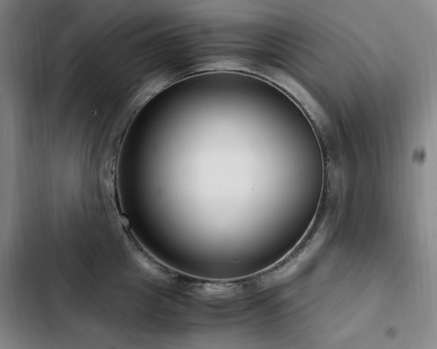 X0000103310857200808291427
