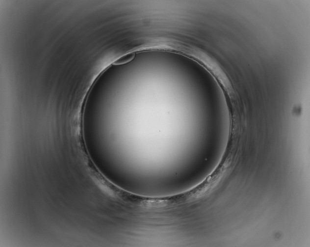 X0000103310858200808291427