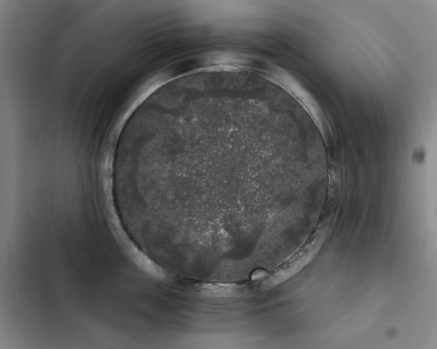 X0000103310859200808291427