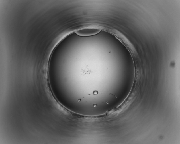 X0000103310860200808291427