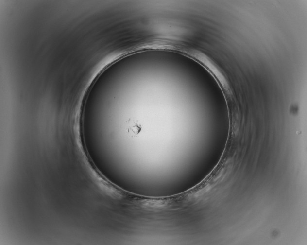 X0000103310861200808291427