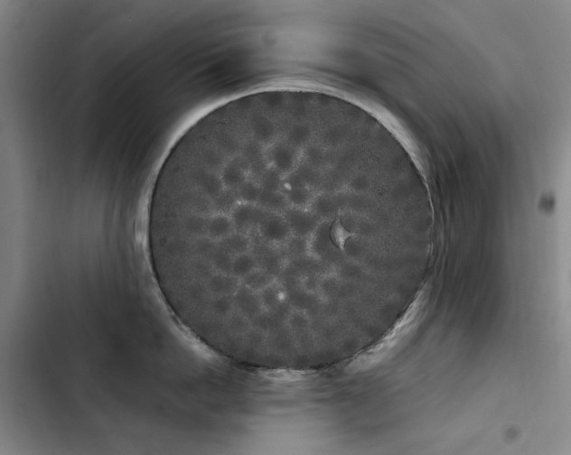 X0000103310862200808291427
