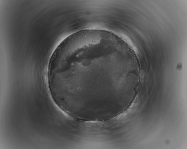 X0000103310863200808291427