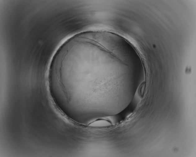 X0000103310864200808291427