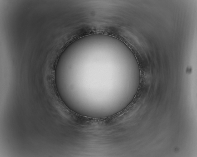 X0000103310865200808291427