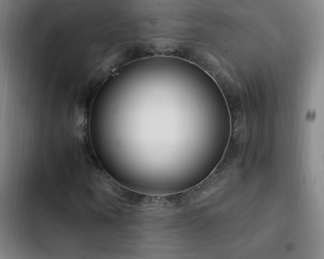 X0000103310866200808291427