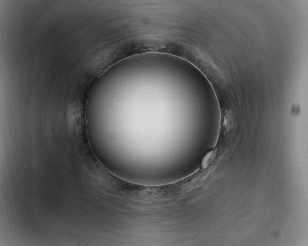 X0000103310867200808291427