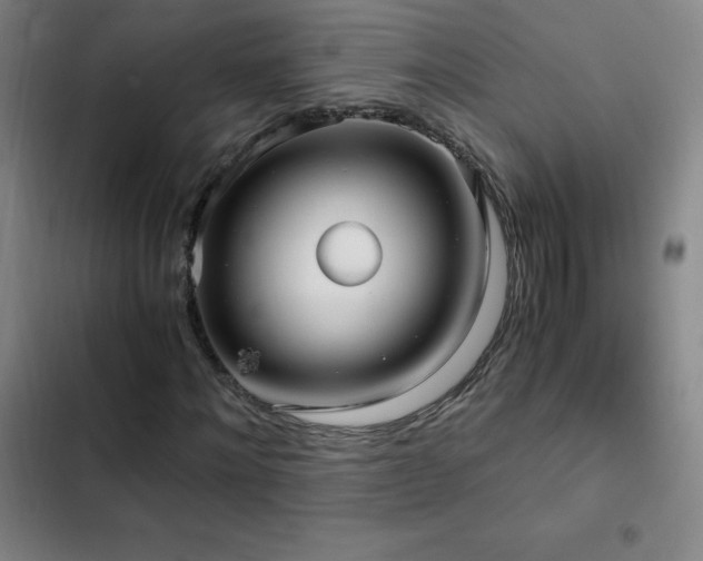 X0000103310868200808291427
