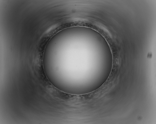 X0000103310869200808291427