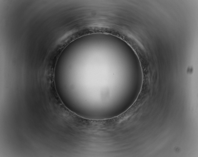 X0000103310870200808291427