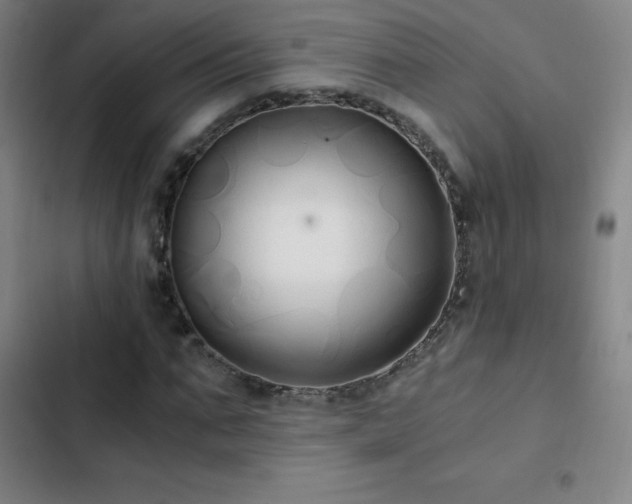 X0000103310871200808291427
