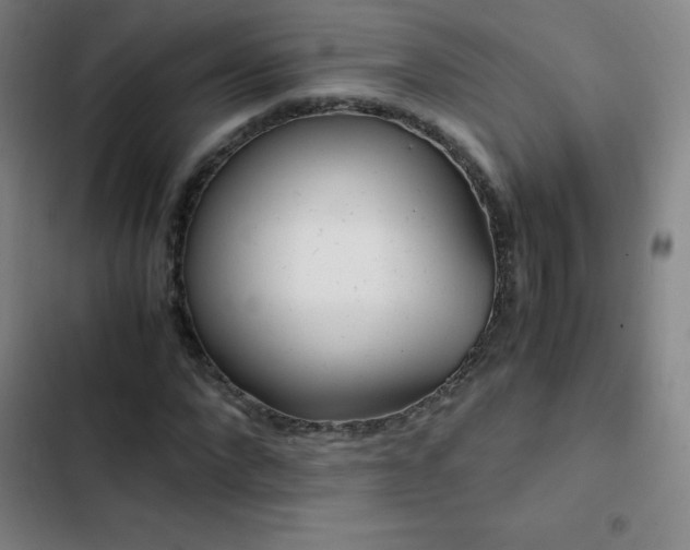 X0000103310872200808291427