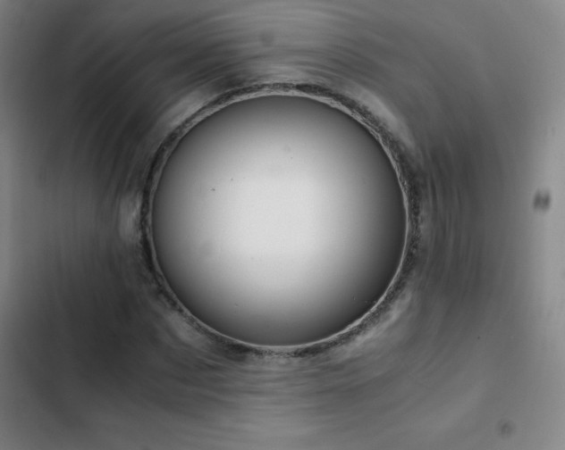 X0000103310873200808291427