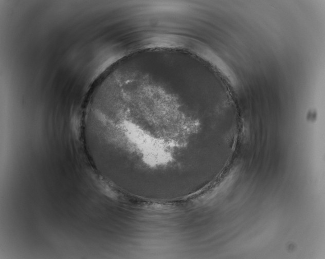X0000103310874200808291427