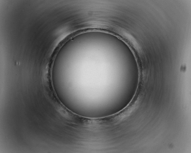 X0000103310875200808291426