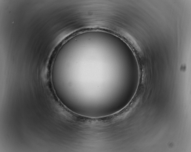 X0000103310876200808291426