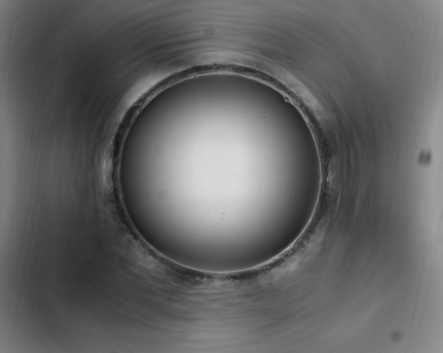 X0000103310877200808291426