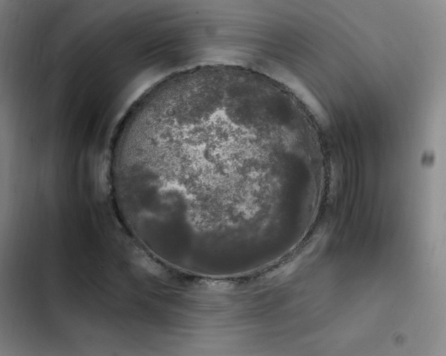 X0000103310878200808291426