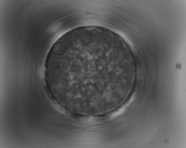 X0000103310879200808291426