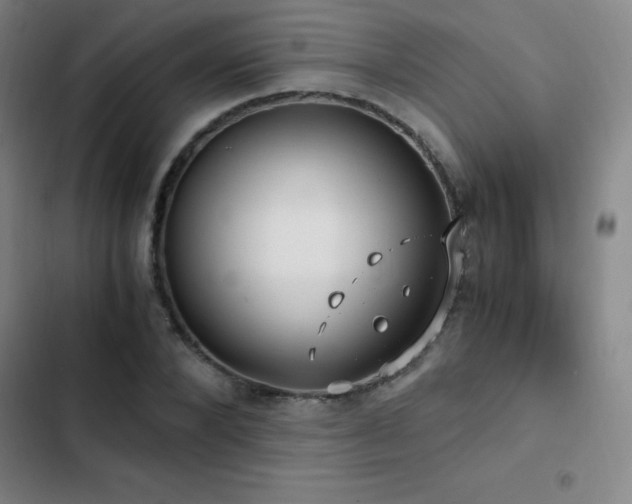 X0000103310880200808291426