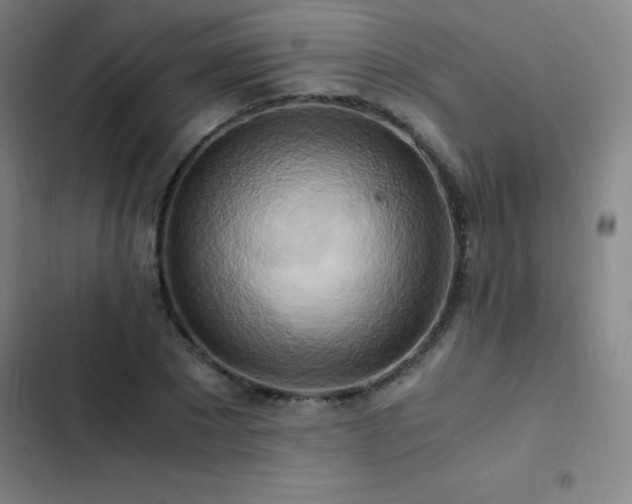 X0000103310881200808291426