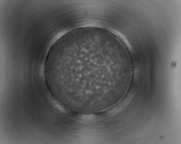 X0000103310882200808291426