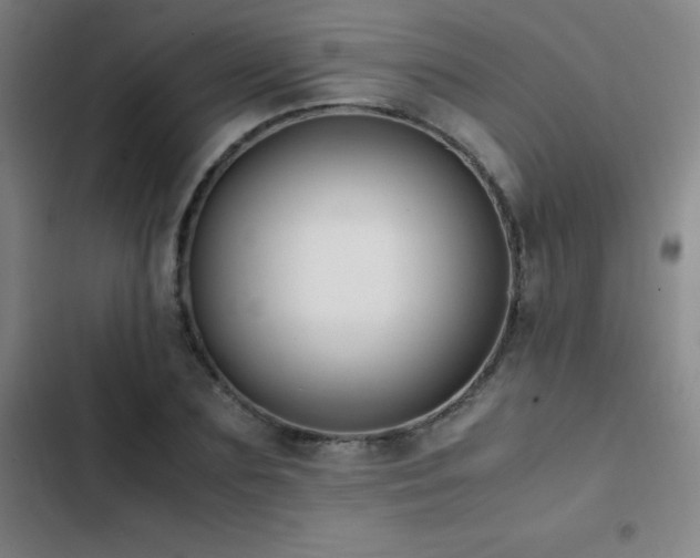 X0000103310883200808291426