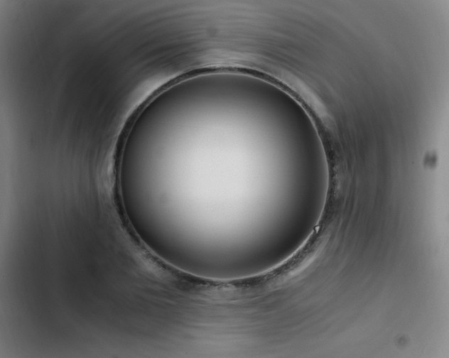 X0000103310885200808291426