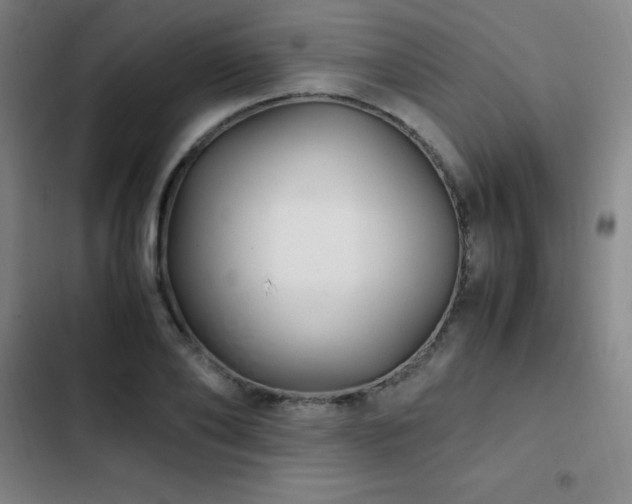 X0000103310886200808291426