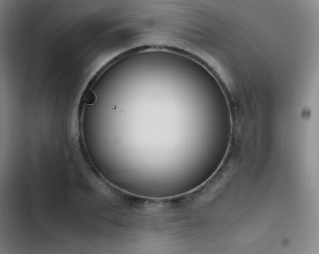 X0000103310887200808291426