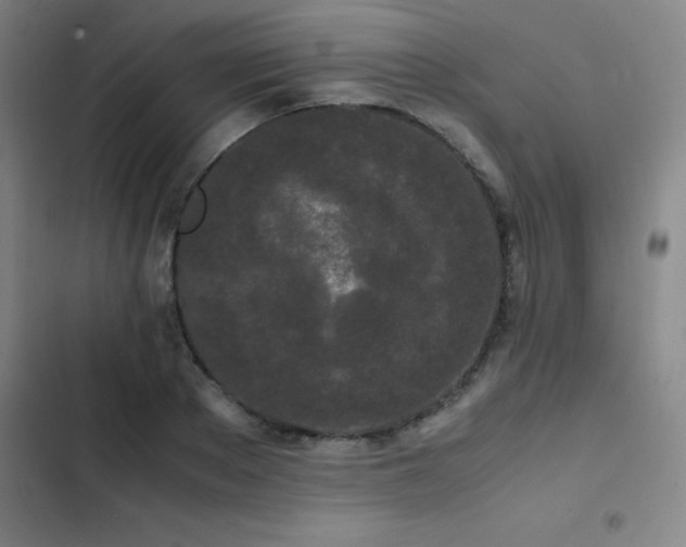 X0000103310889200808291426