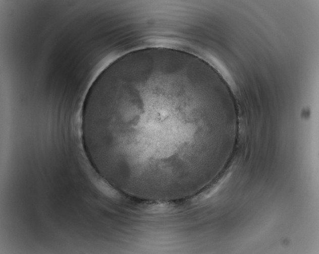 X0000103310891200808291426