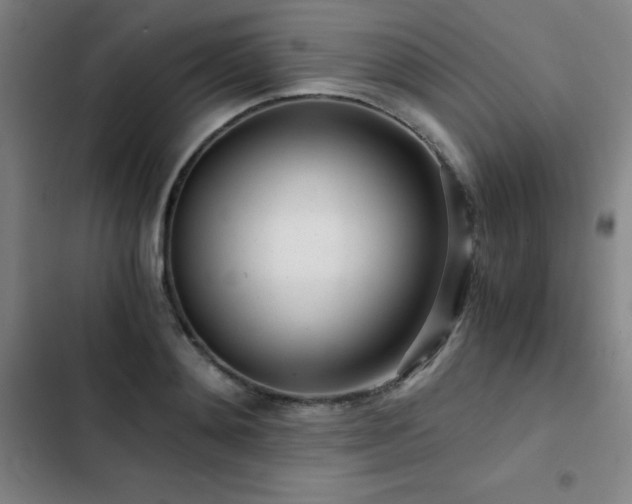 X0000103310892200808291426