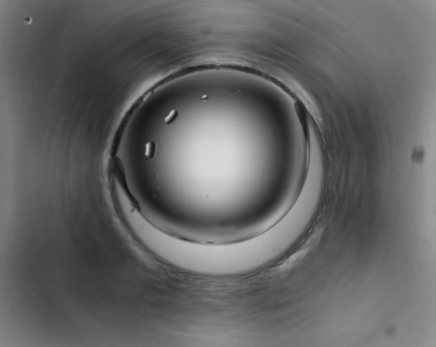 X0000103310893200808291426